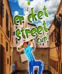 Cricket Street Cup